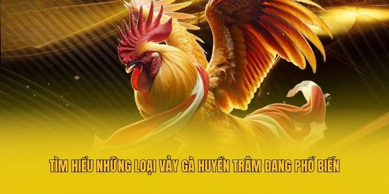 Tìm hiểu những loại vảy gà huyền trâm đang phổ biến